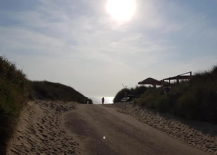 La Maison Du Soleil Couchant - Avec Jardin - A 250 M De La - Veranda Feriehus *