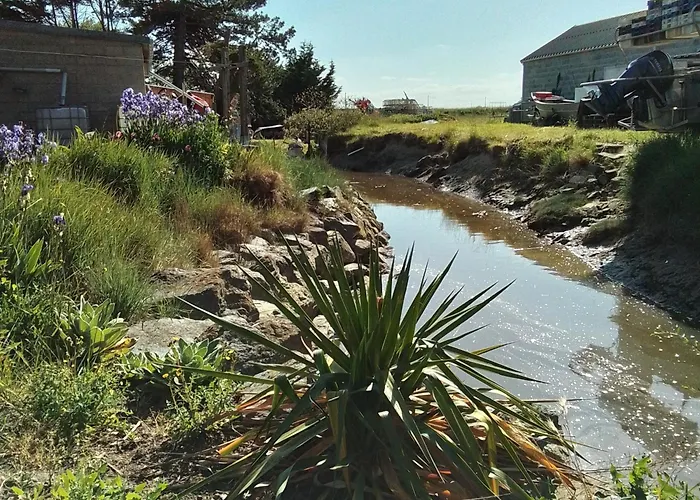 Feriehus La Maison Du Soleil Couchant - Avec Jardin - A 250 M De La - Veranda