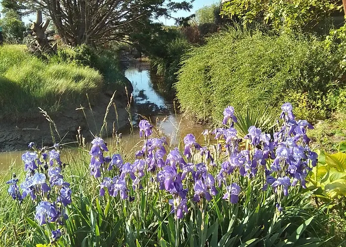 La Maison Du Soleil Couchant - Avec Jardin - A 250 M De La - Veranda Feriehus Gouville-sur-Mer